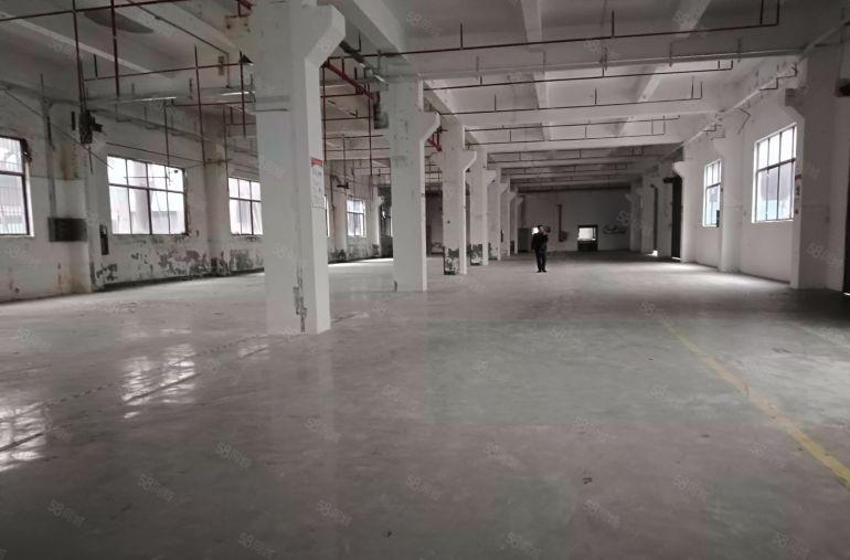 独门独院厂房来了！西乡107国道附近独院3750平共三栋！