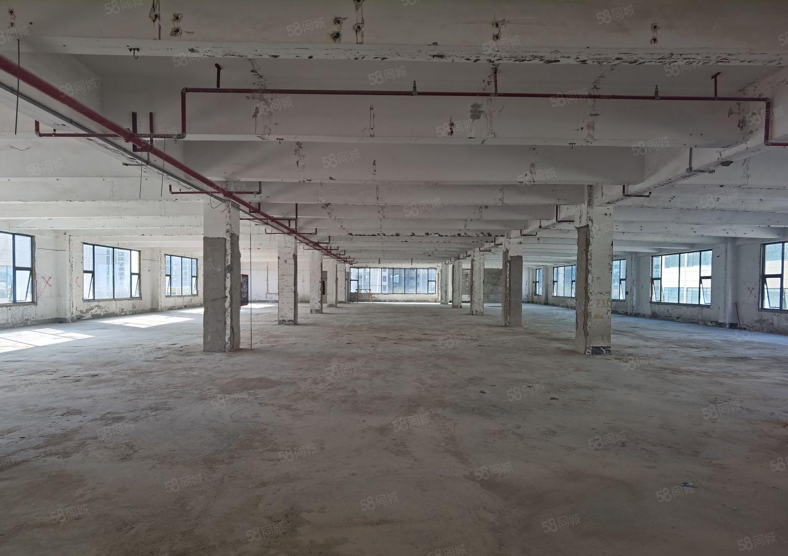 松岗原房东带红本独院独栋2000平仓库厂房出租500平起分租