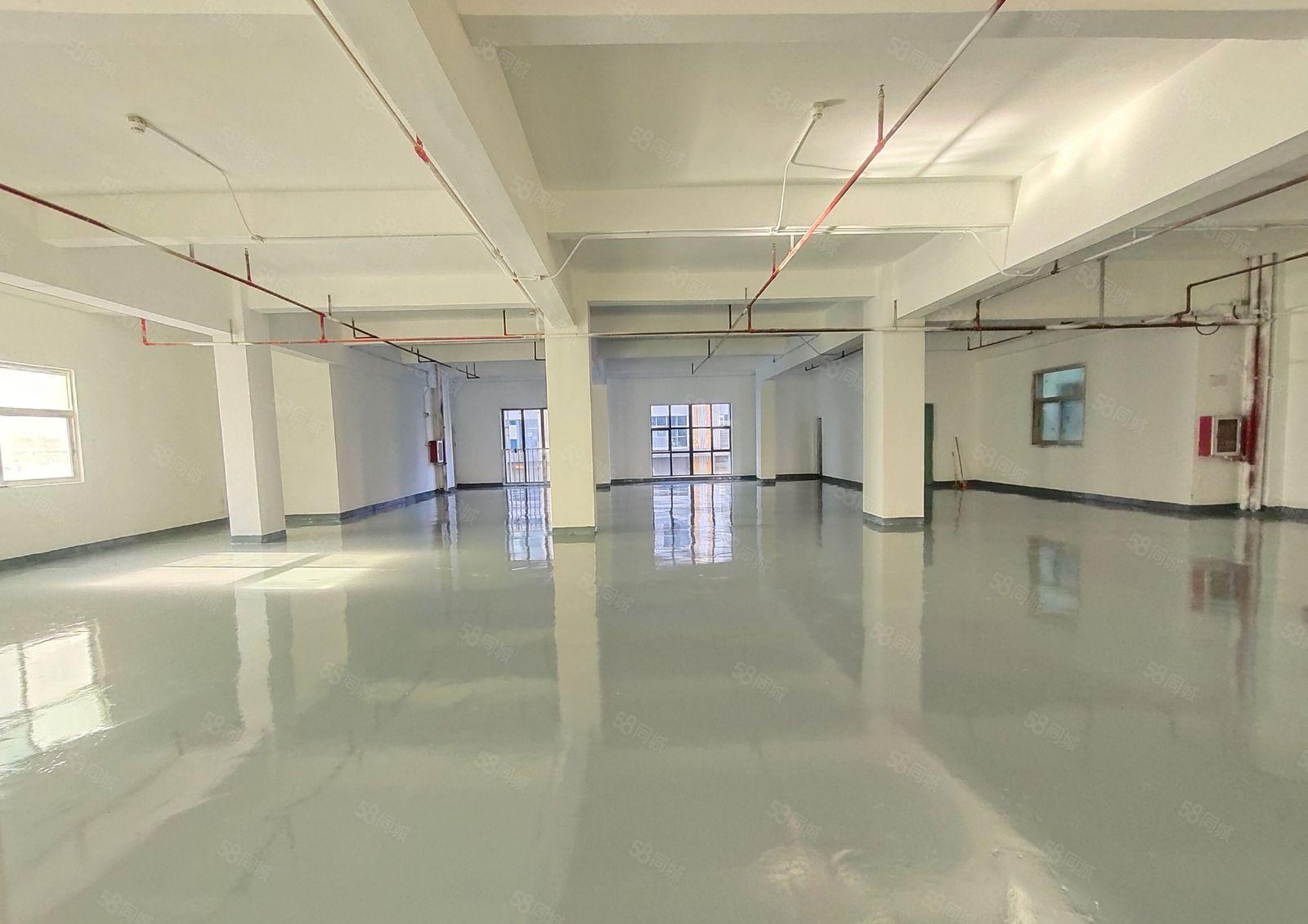西乡，固成，宝安大道边，原房东全新装修550平整层办公，厂房