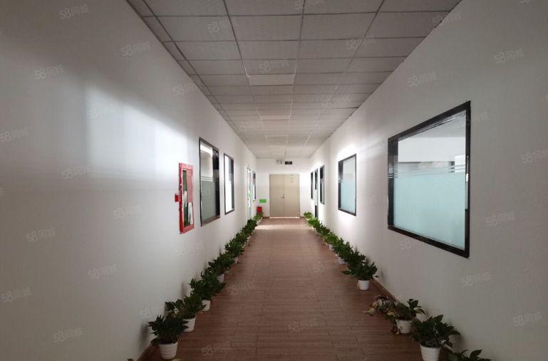 原房东低价直租！沙井步涌新出实际1万平原房东厂房出租！