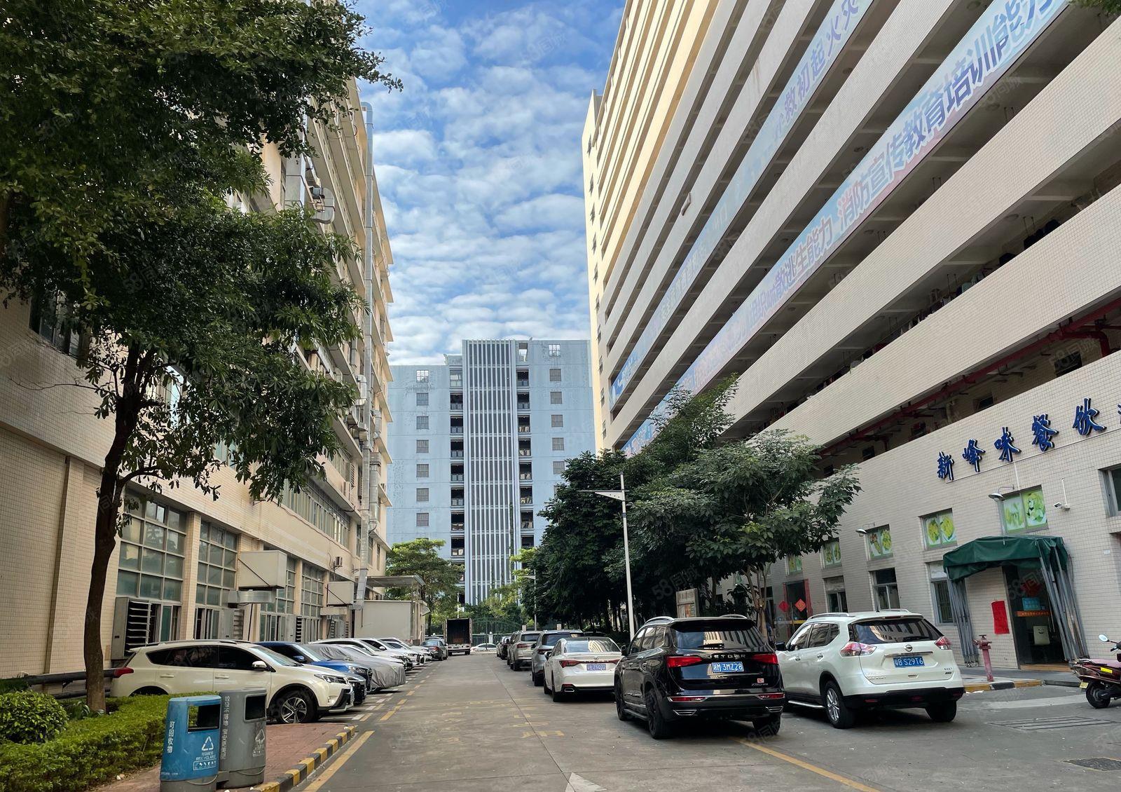 兴东地铁站1800平整层原房东红本厂房出租