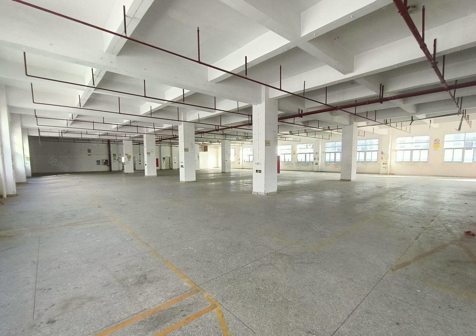 500平分租石岩独院厂房仓库出租每层3000平可办环评原房东