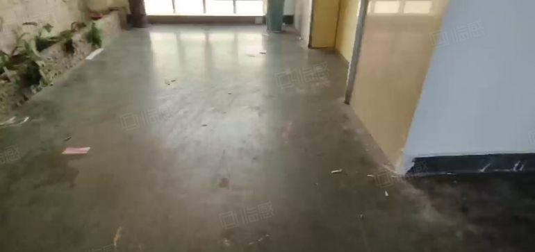 西乡桃源居附近，电梯口户型，楼上带装修560平厂房，租金便宜