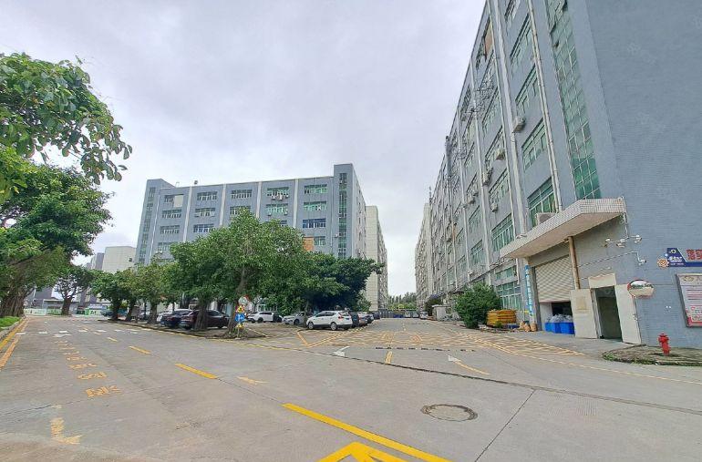 使用率高沙井工业园原房东直租500至2000平方厂房仓库出租