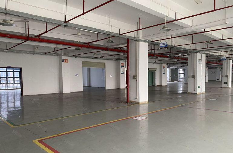 松岗谭头高新园区整层2000平原房东低价厂房仓库出租带装修