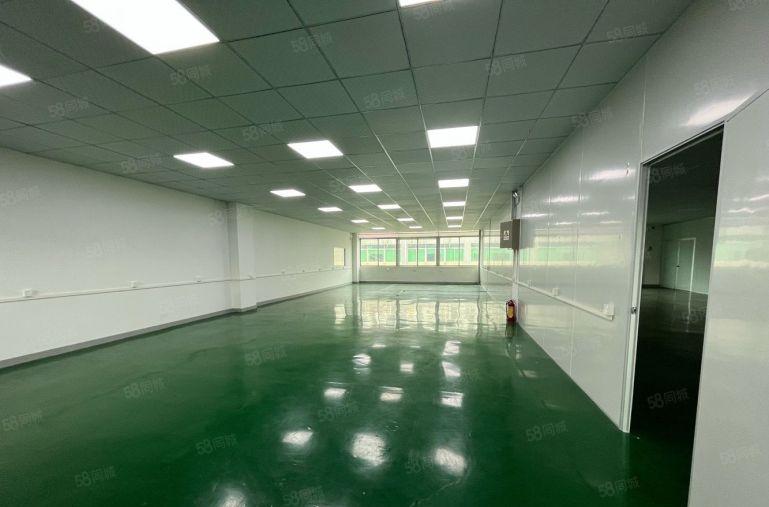 22元起沙井马鞍山整层800平精装修厂房出租仓库出租可分租