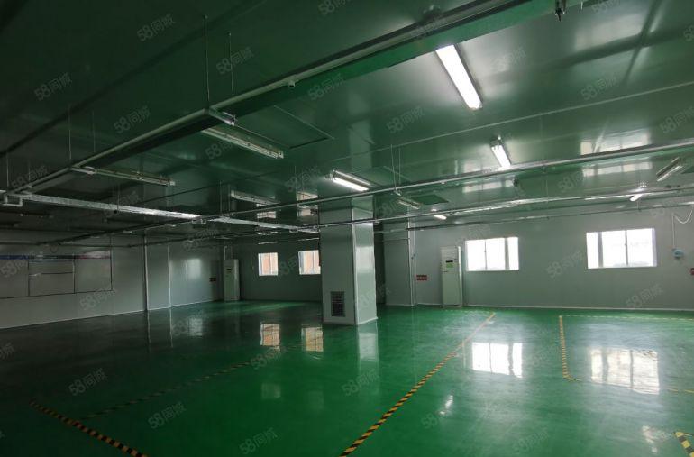 宝安兴东地铁站创谷园区，268平536平电商办公室生产仓库