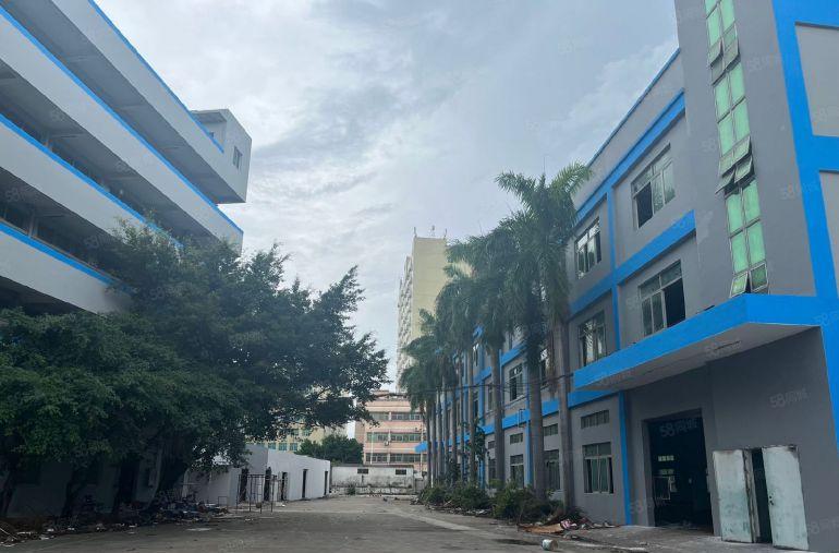 松岗新出红本精装独院3层7800平