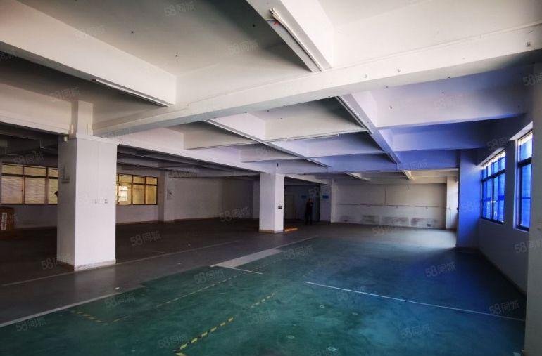 原房东精装修厂房720平米出租 独立一层 拎包入住