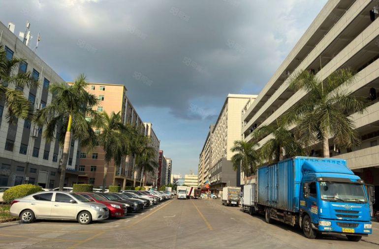 福永独院整层3000平带红本300平起厂房出租 大小仓库出租