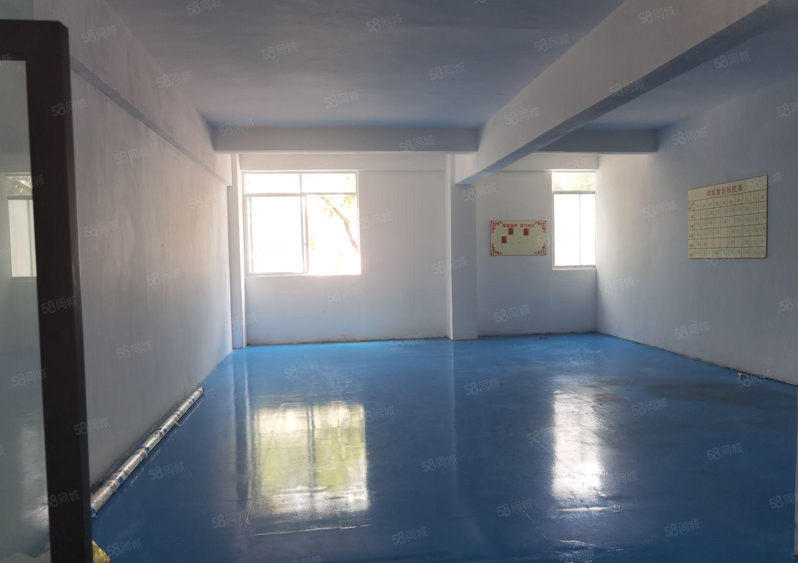 电子加工组装电商仓库小面积带装修厂房