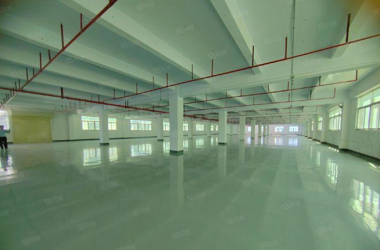 西乡固戍村委原房东高新园区2100平红本厂房出租可分租有补贴