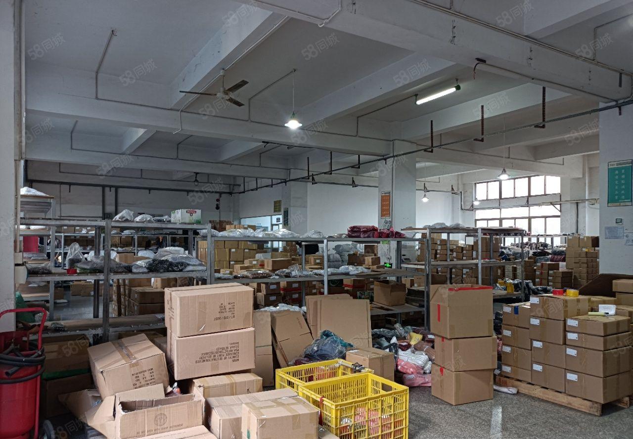 松岗塘下涌新出独门独院15层4250平，宿舍按需