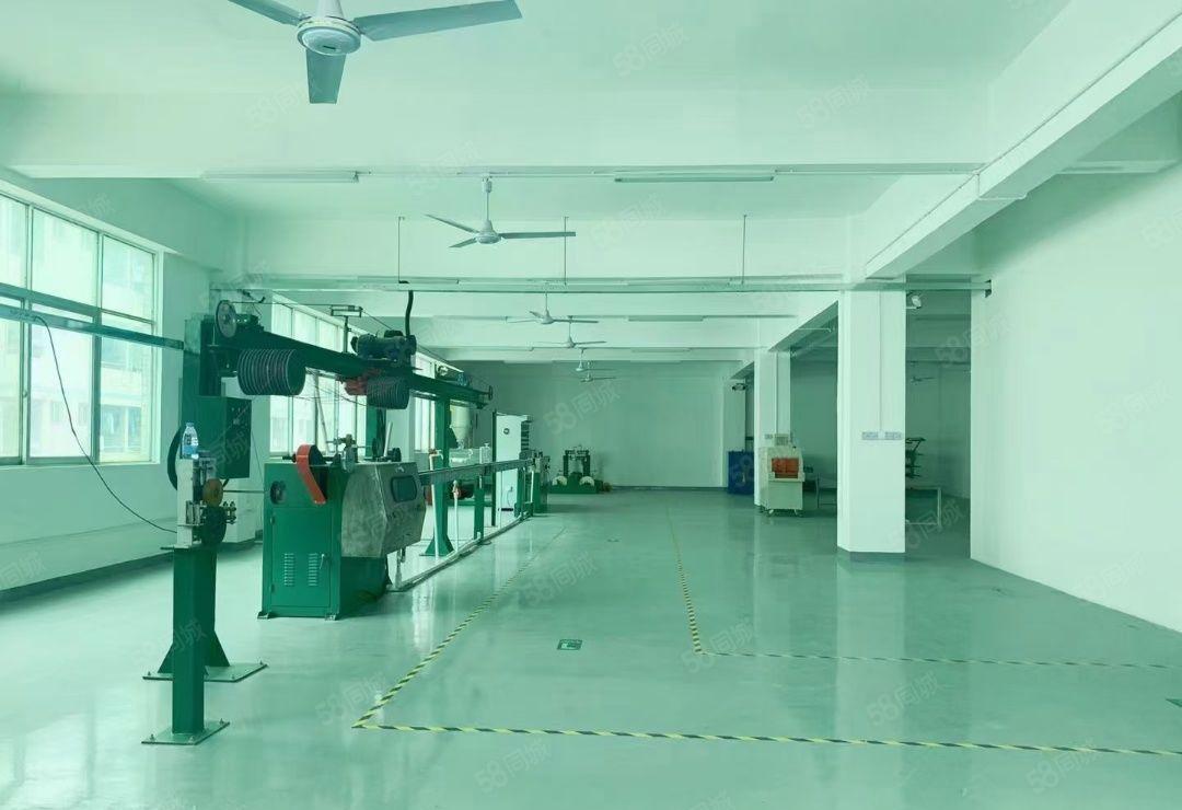 福永楼上豪华装修1100平，无需转让费，适合电子行业