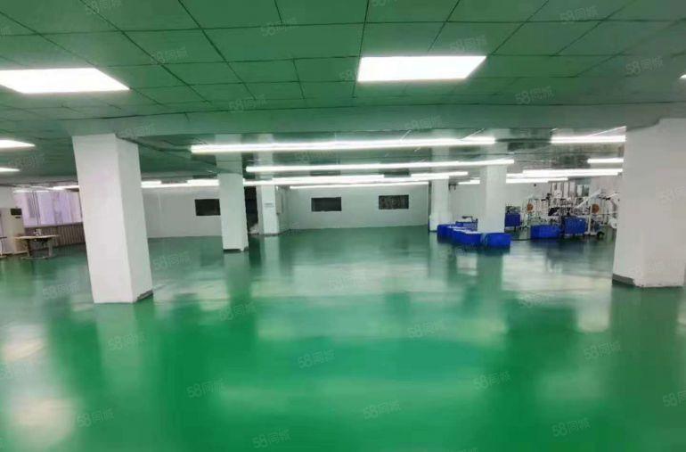 石岩塘头工业区厂房出租1000平米带现成装修近高速口大小可分