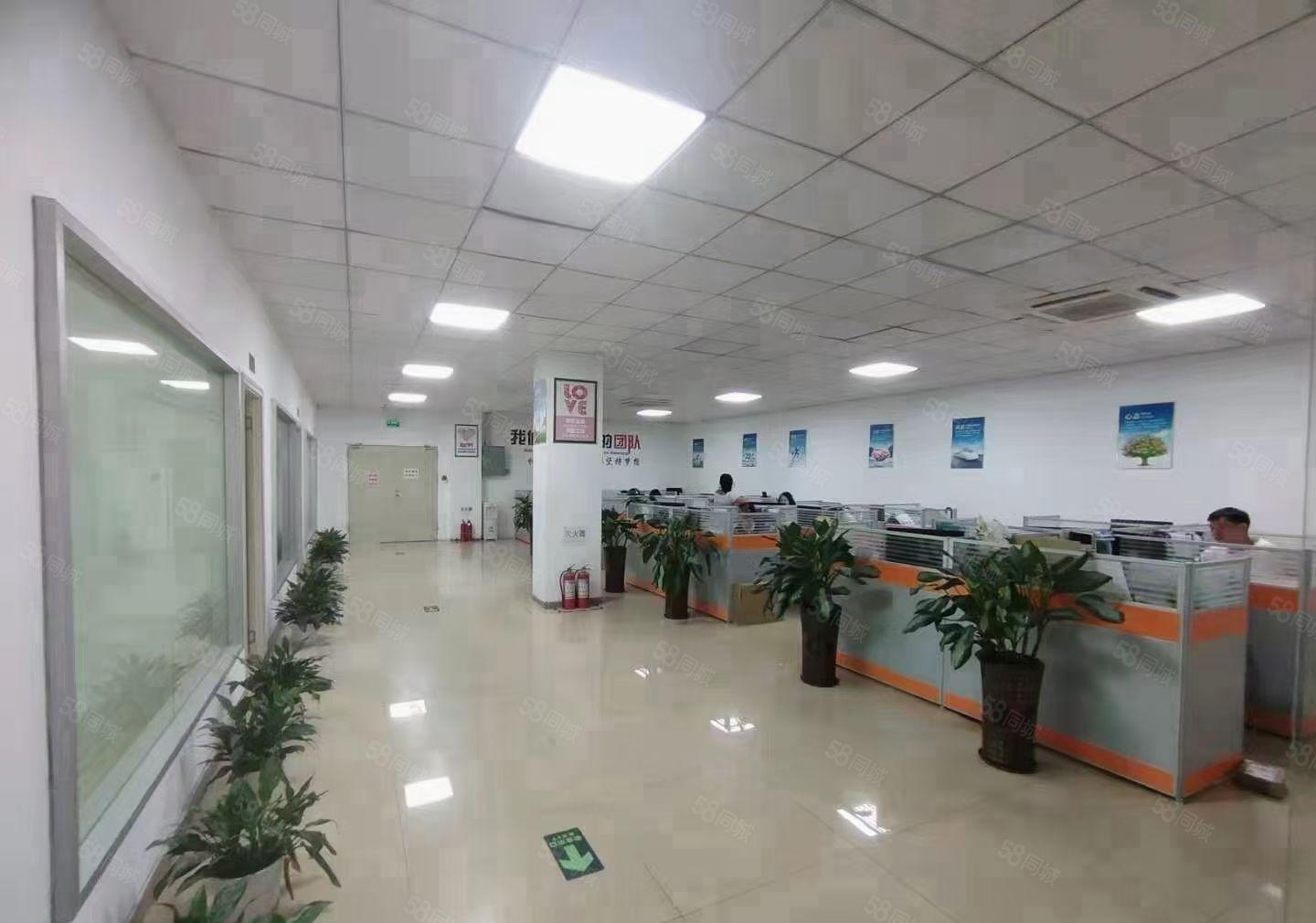 料坑1200平米带装修原房东厂房出租