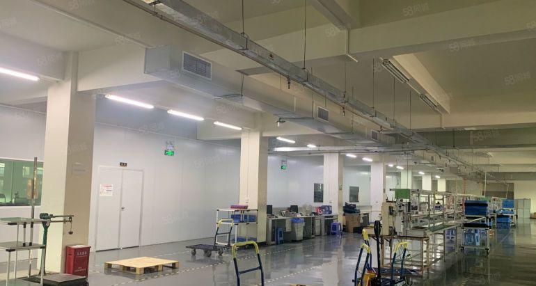 一楼石岩厂房出租内空400至2000平带装修工业园原房东