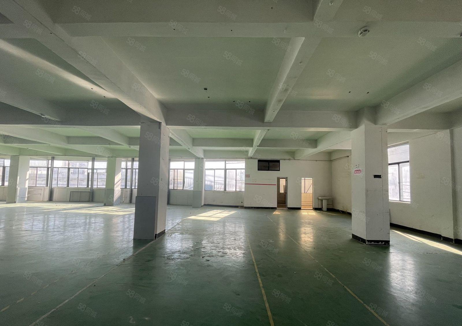 西乡鹤洲桥底附近楼上豪华装修1155平