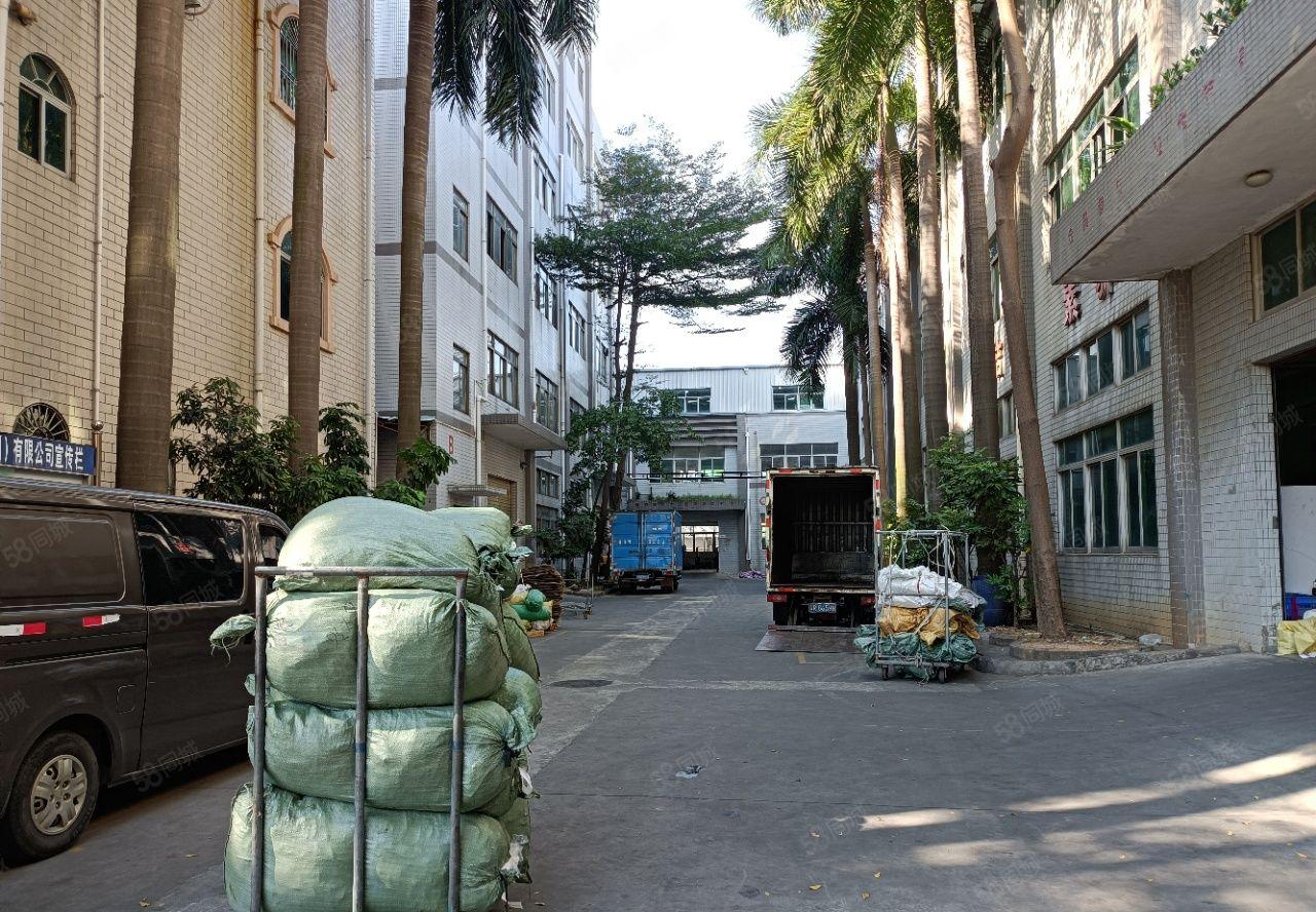 松岗塘下涌新出独门独院15层4250平，宿舍按需