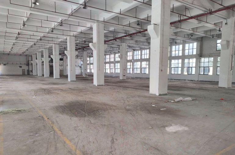 超大空地！福永原房东2000平起租大型园区仓库厂房出租无公摊