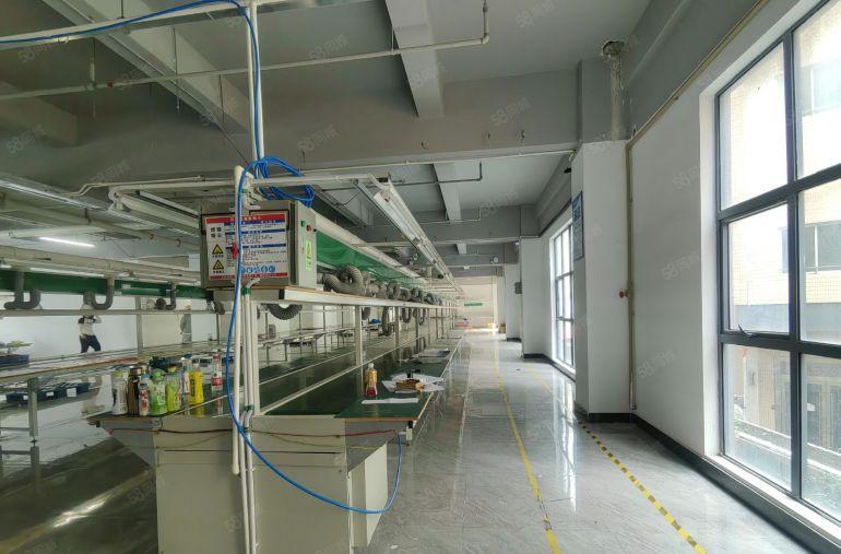 整层1200平精装厂房一手直租 一应俱全拎包生产 固戍站附近