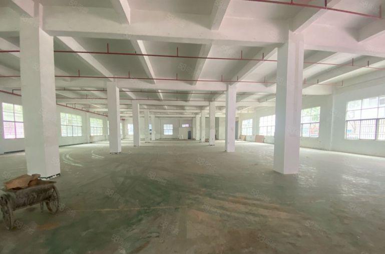 宝安石岩工业区2000平红本厂房出租 原房东200起分