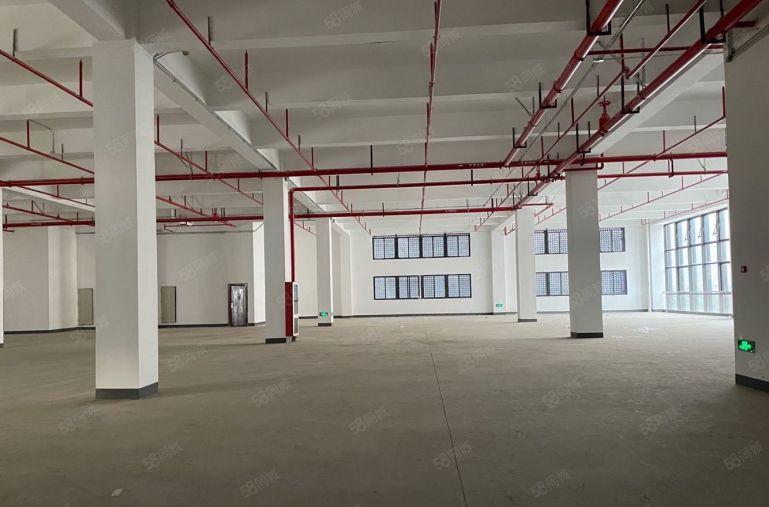 新兴东地铁口1000平仓库物流办公室厂房低价出租100平起租