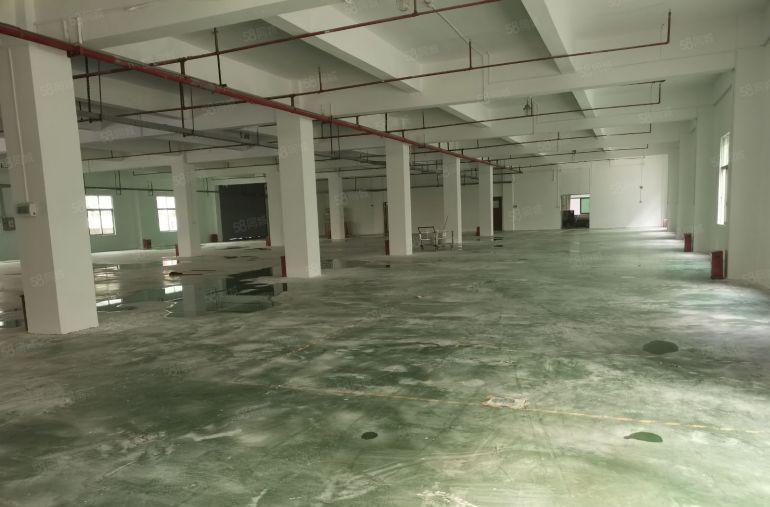 西乡大型工业园1200平楼上厂房全新装修可分租年前价格好谈