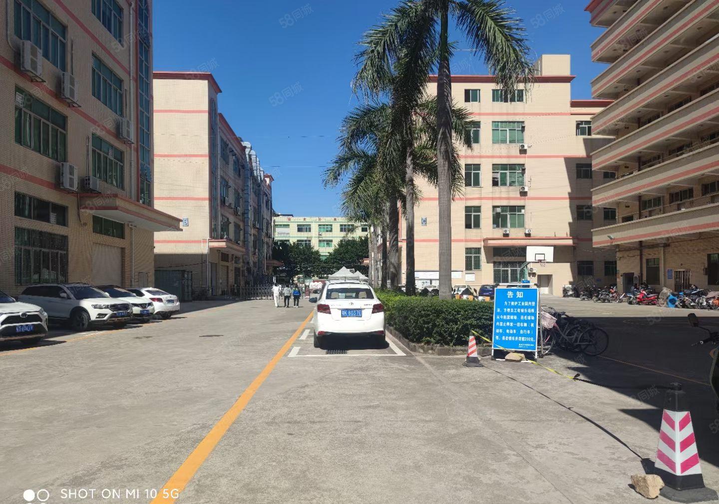 房东出租福永和平2楼1000平方