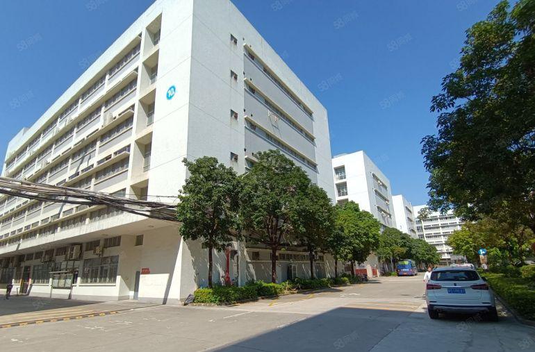 石岩塘头工业区1000平标准厂房出租仓库招租300平起分租