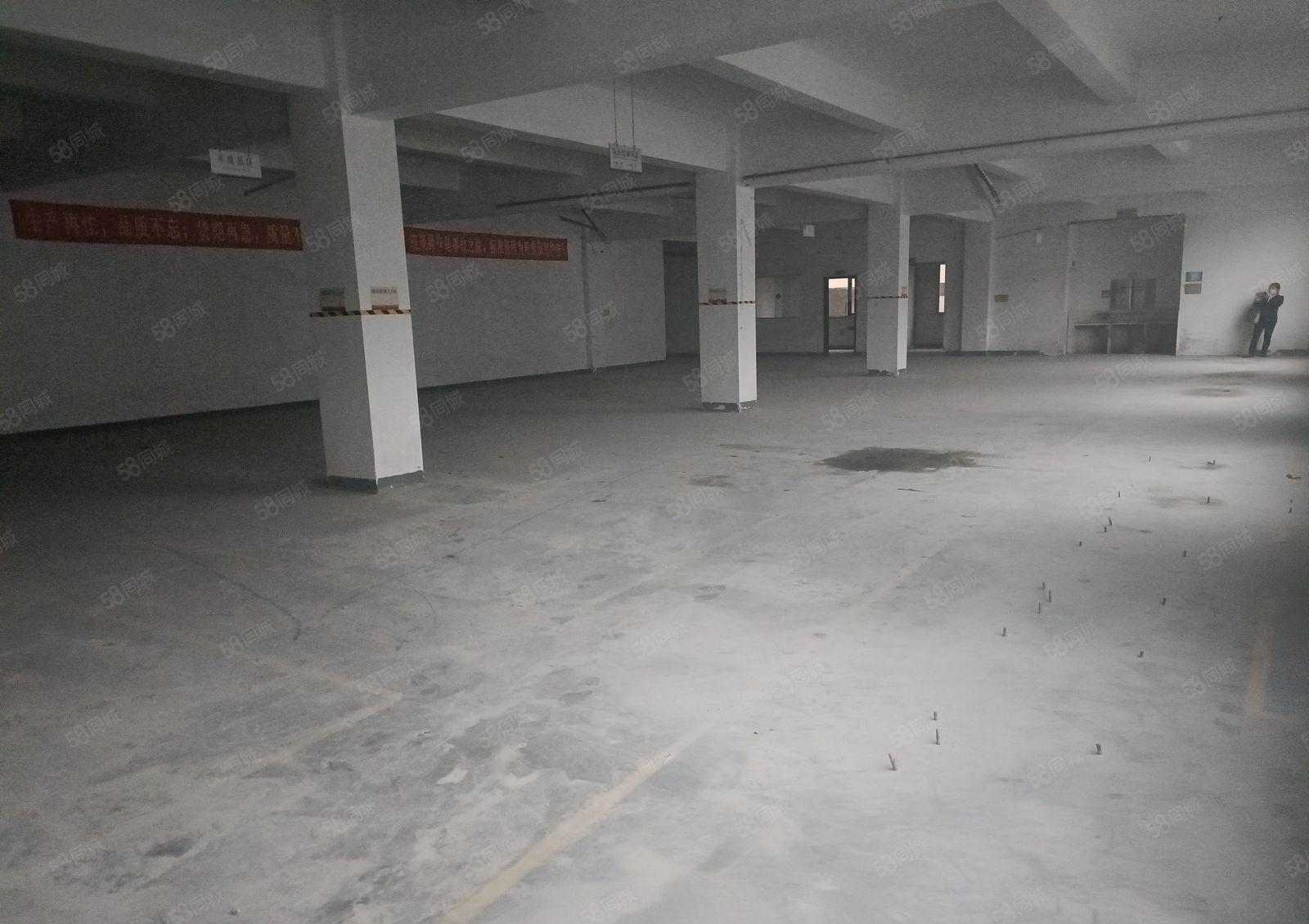 福永新和临近高速出口楼上1000平原房东厂房仓库出租大小可分