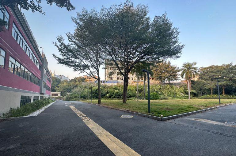 企业总部养老中心培训学校福永独院厂房4.2万平精装修厂房出租