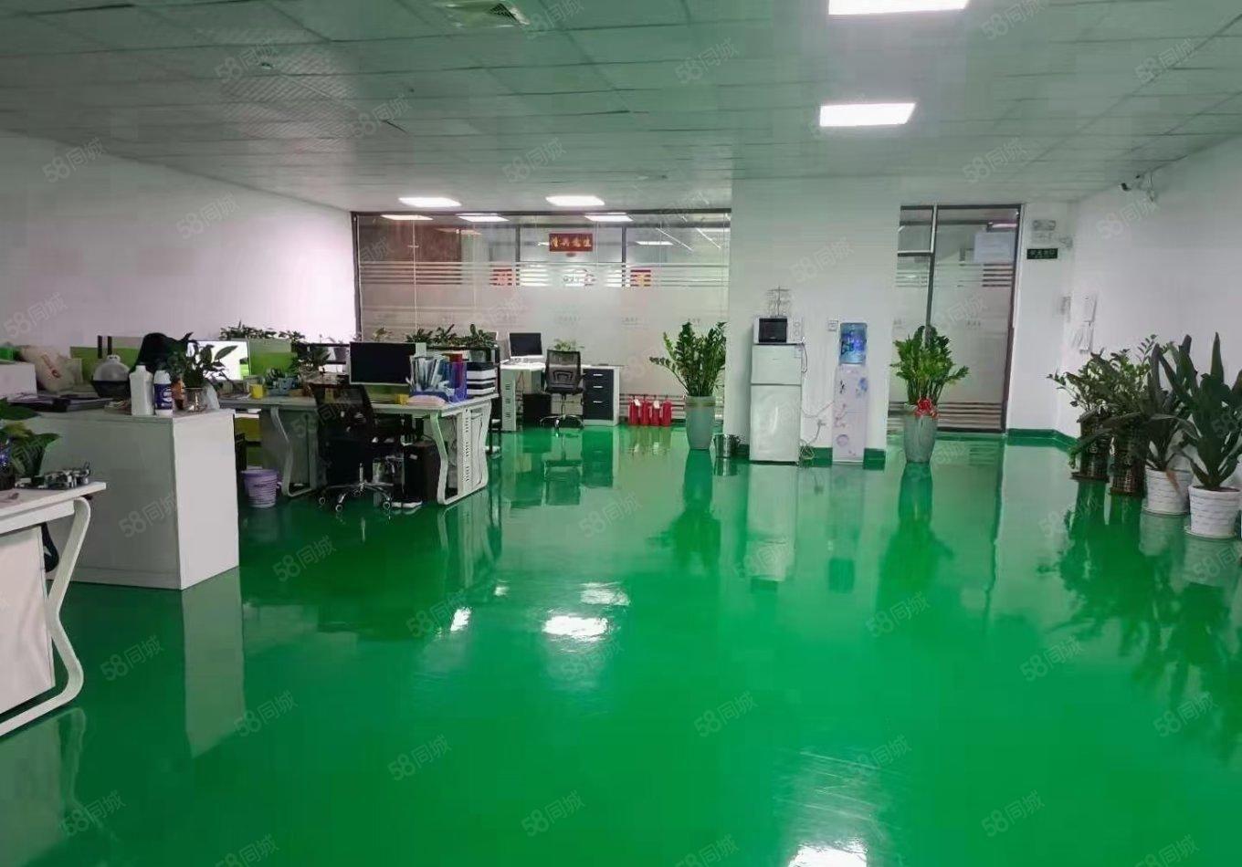 沙井地铁口1000平方精装修厂房出租分租仓库招租独院无尘车间