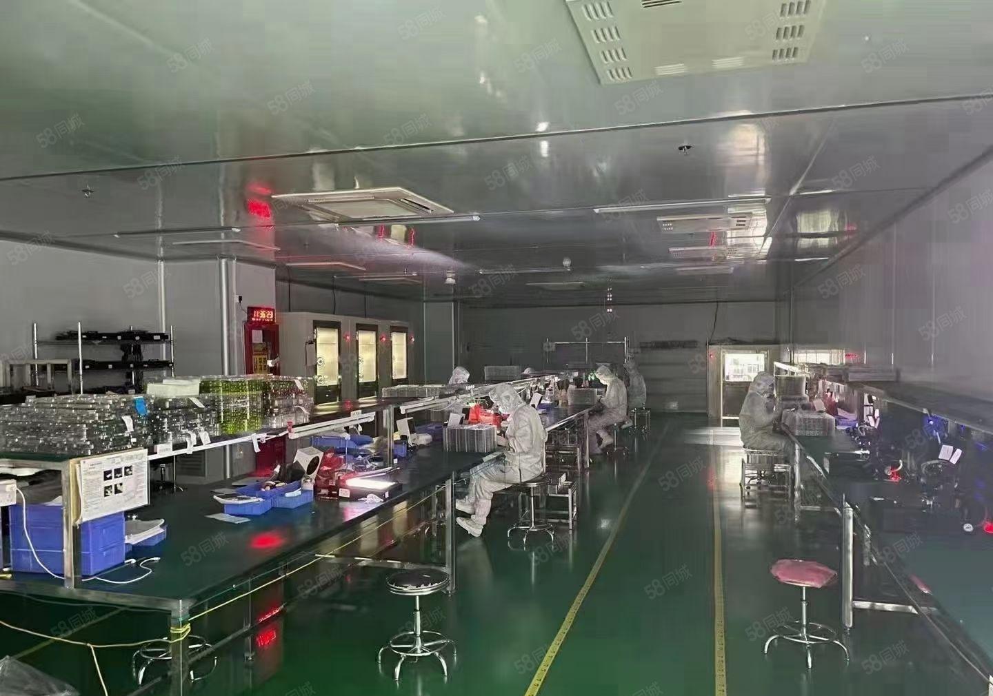 料坑1200平米带装修原房东厂房出租