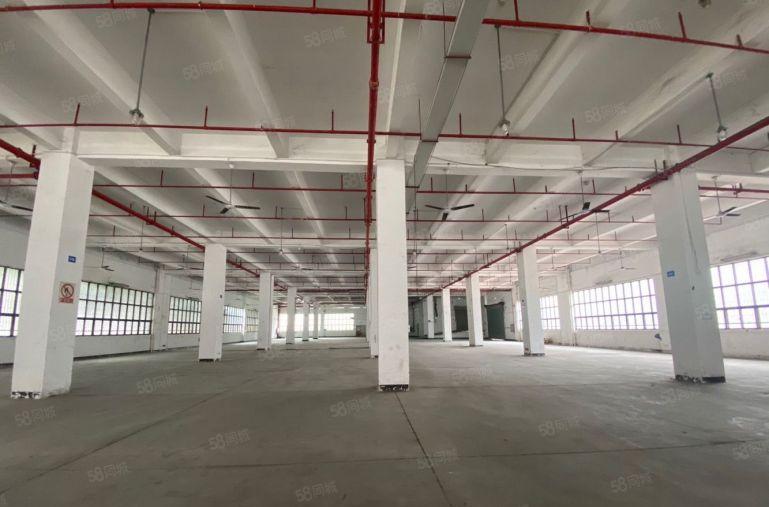 沙井洪田工业区3万平方大型红本厂房出租100起分租