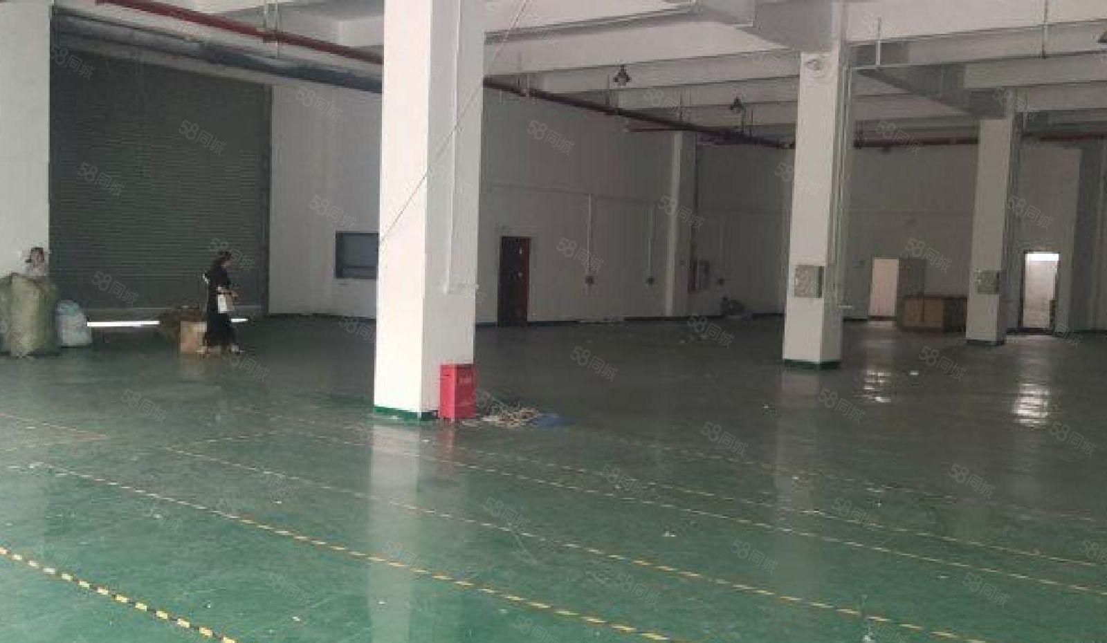 福永新和福州大道800平厂房出租招租仓库可分租空地大主干道