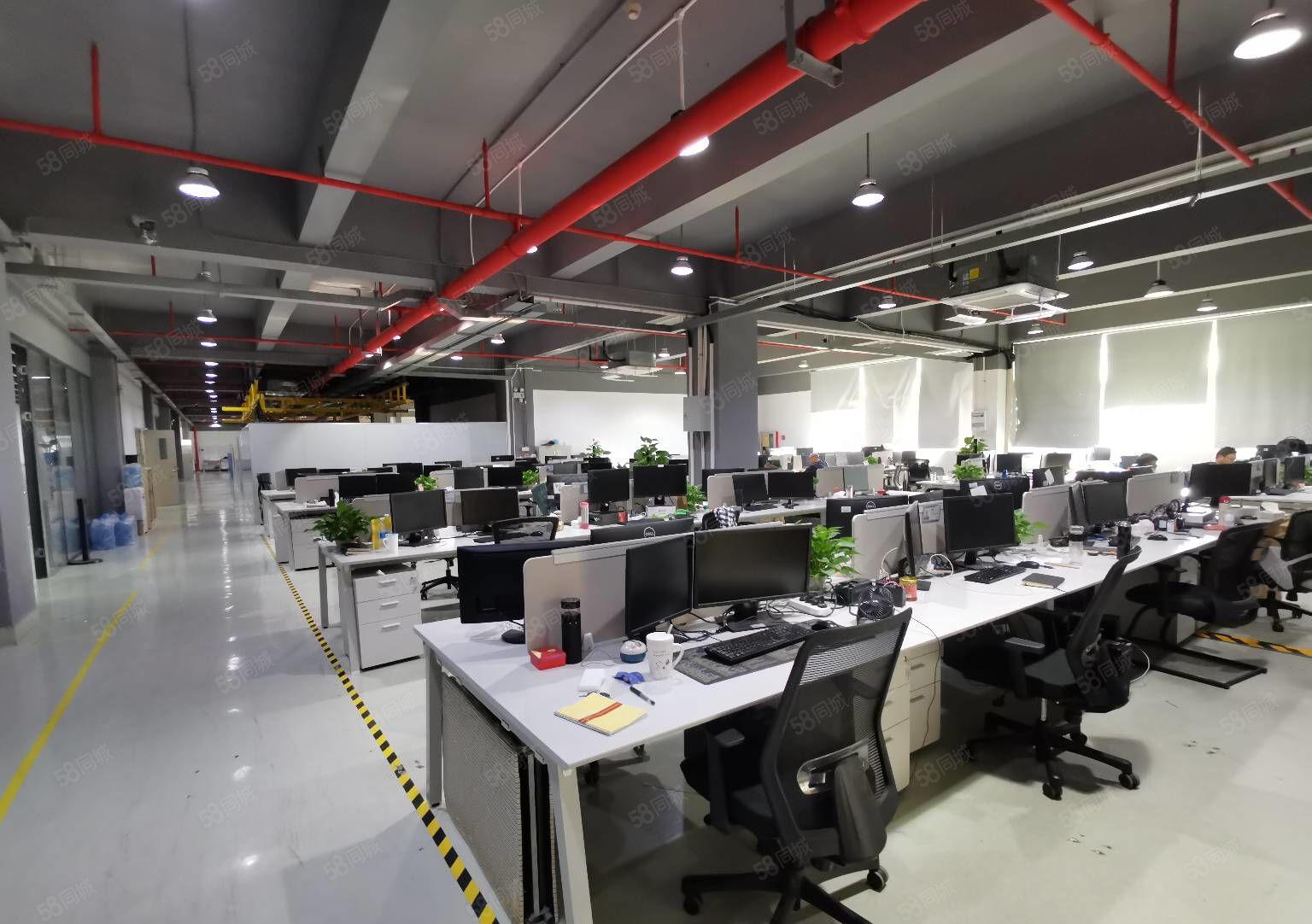 兴东整层1800平原房东红本厂房精装修车间办公室园区形象好