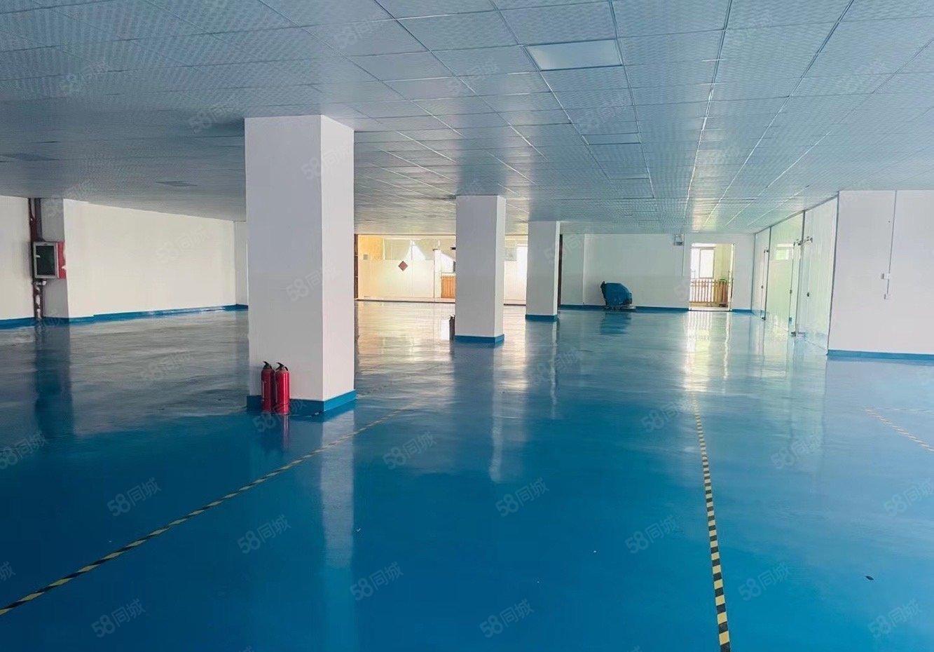 石岩石龙仔新出楼上1340平豪华装修厂房出租