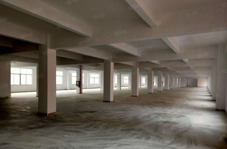 宝安西乡桃源居2000平可分租低价 精装修办公室厂房仓库出租