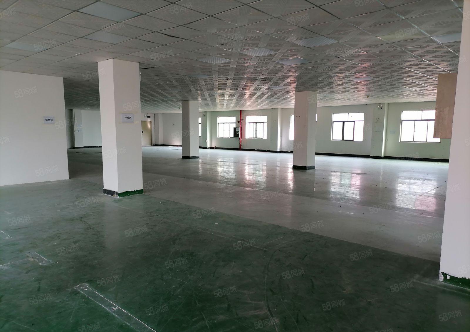 西乡固戍大型工业区精装修厂房1000平出租