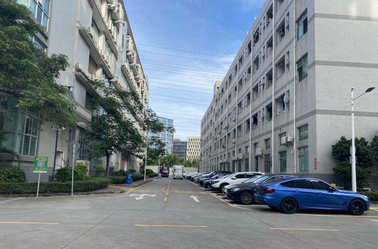 5号线地铁兴东站，原房东直租一楼1700平花园式厂房，无递增