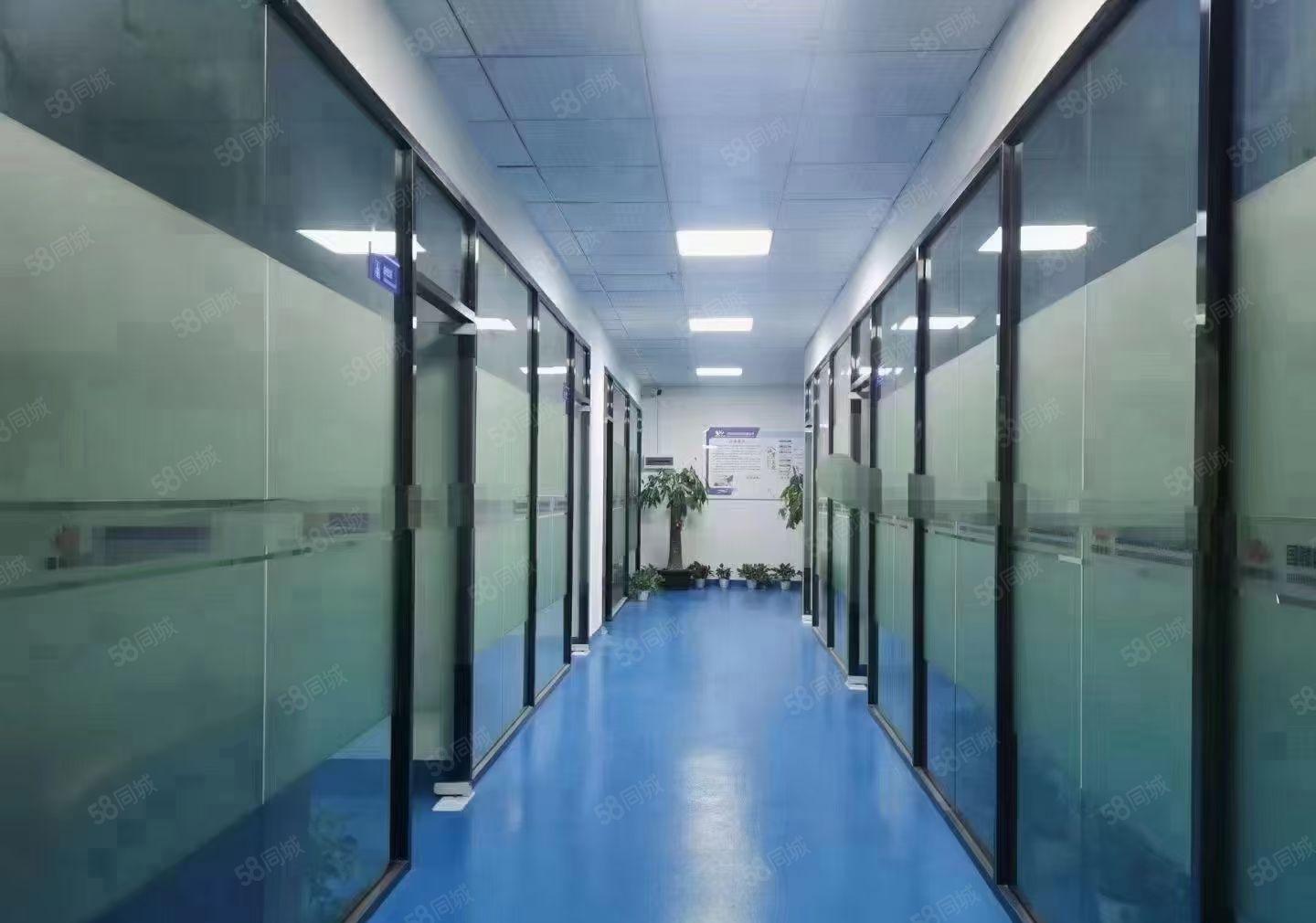 光明原房东长圳工业园精装修整层1000平米厂房出租分租仓库