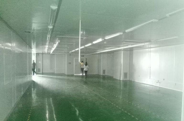 石岩楼上带装修1000平米无尘车间招租，无转让费用