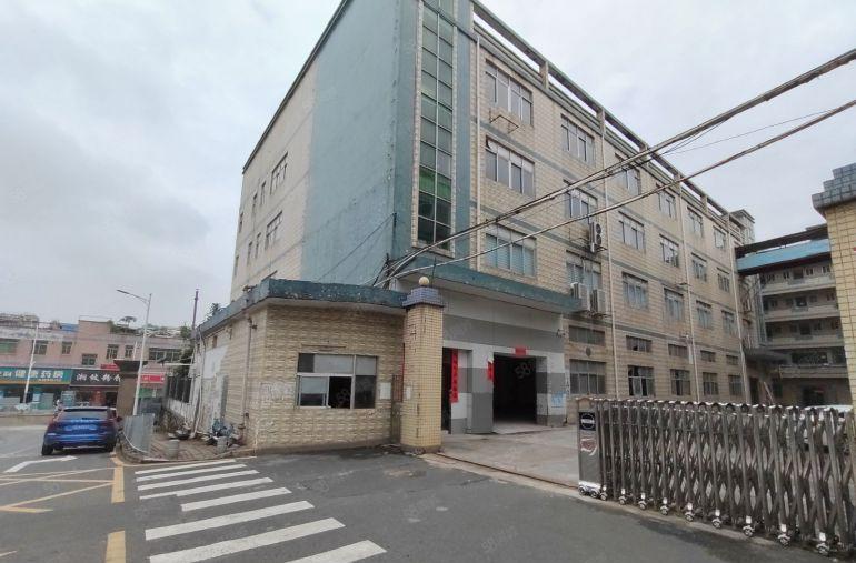 宝安松岗房东直租一楼厂房980平方出租带精装修办公室消防喷淋