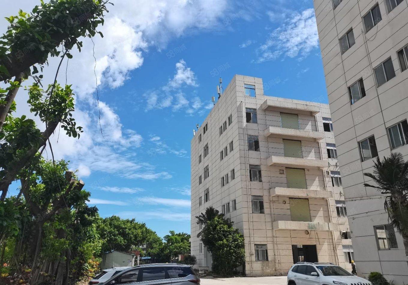 宝安松岗原房东红本独院厂房30000平合同10年高速口