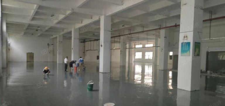 松岗江边新出一楼2580平米高度7米水电齐全