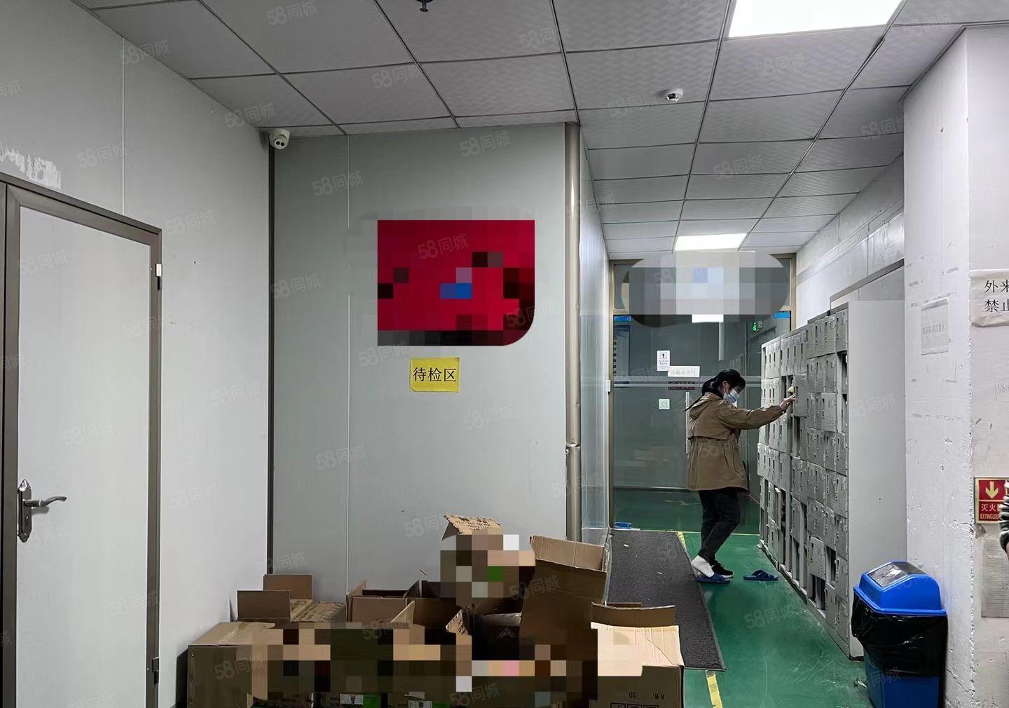 西乡桃源居新空出豪华装修无尘车间1700平原房东直租带红本