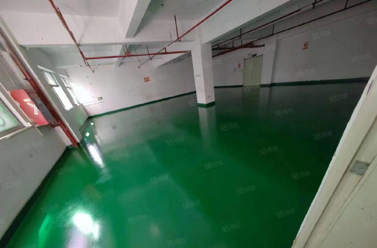 D9 133 1658 1753厂房招租，可分租，设施齐全