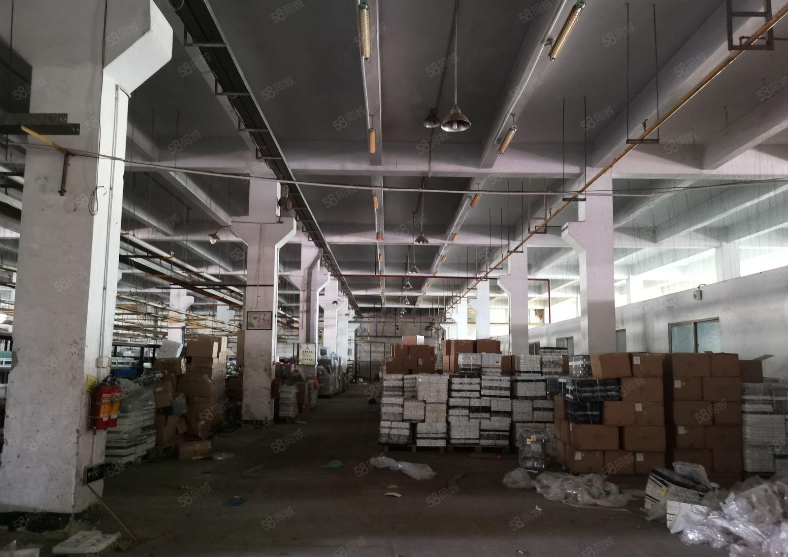 今天刚出沙井33000平方一楼7.5米高厂房出租