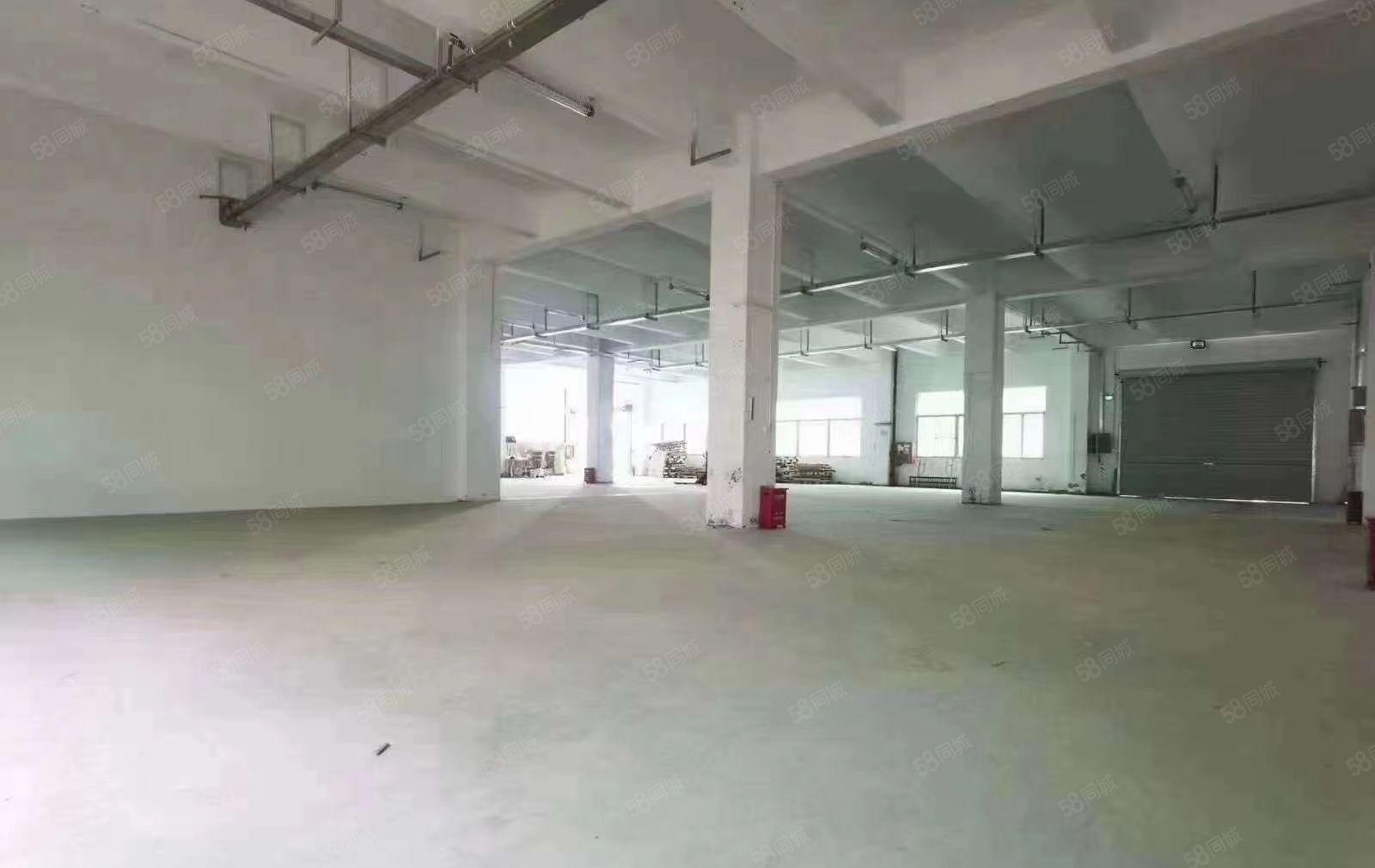 层高6米以上，福永怀德一楼1500平红本厂房出租可做物流注塑